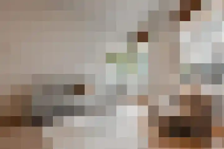Da Costakade 13 H Amsterdam thumbnail 11