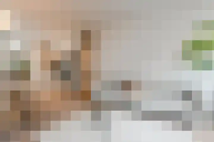Da Costakade 13 H Amsterdam thumbnail 14