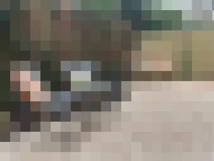 Da Costakade 13 H Amsterdam thumbnail 4