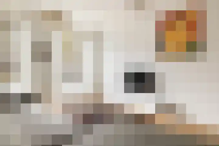 Da Costakade 153 Amsterdam thumbnail 11