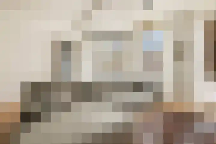 Da Costakade 153 Amsterdam thumbnail 15
