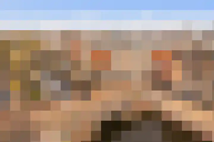 Da Costakade 153 Amsterdam thumbnail 41