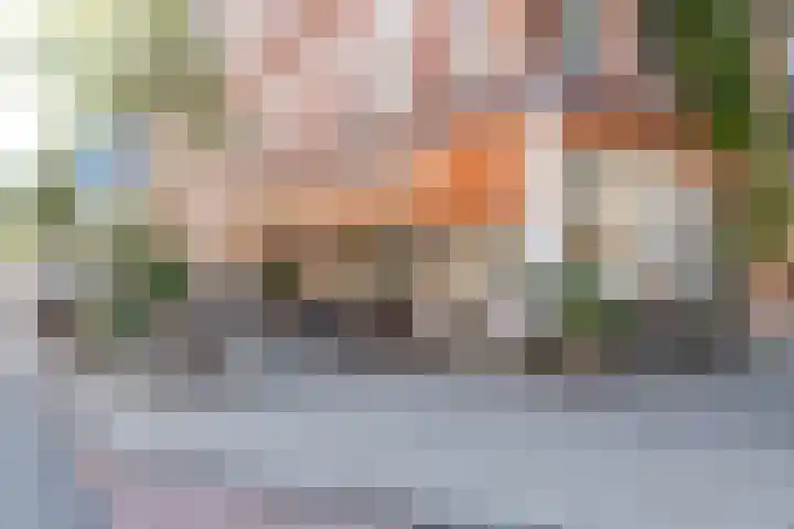 Da Costakade 153 Amsterdam thumbnail 47