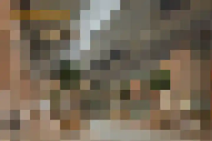 Da Costakade 153 Amsterdam thumbnail 48