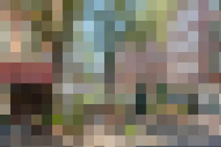 Da Costakade 153 Amsterdam thumbnail 51