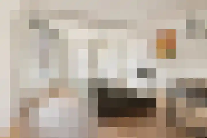 Da Costakade 153 Amsterdam thumbnail 6