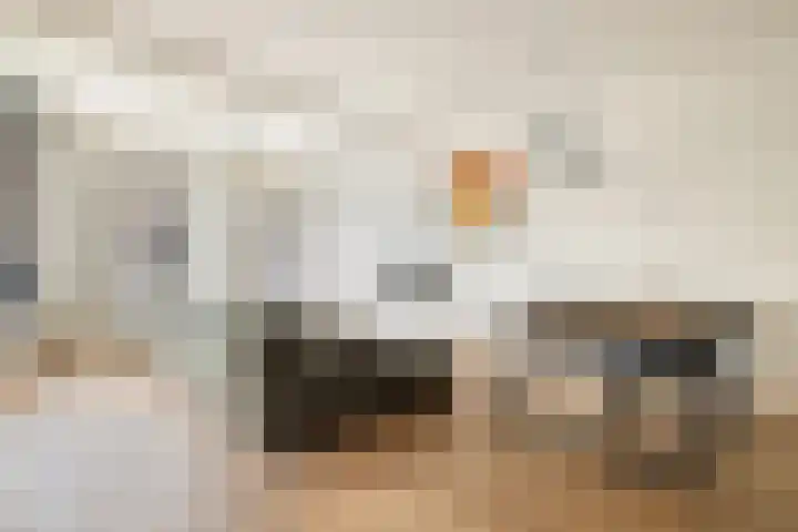 Da Costakade 153 Amsterdam thumbnail 9