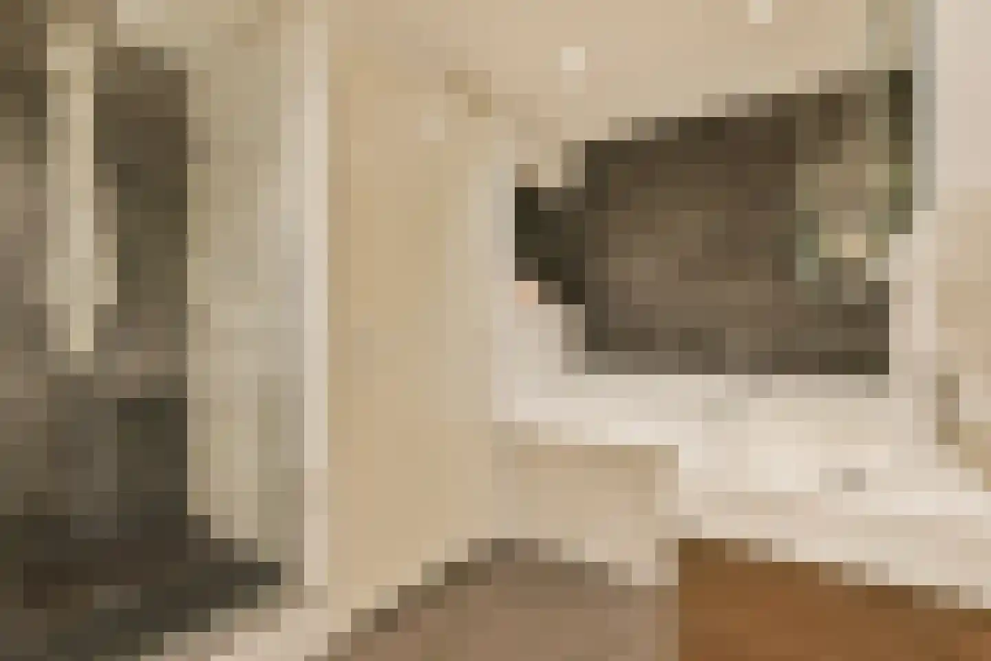 Da Costakade 20 A Amsterdam thumbnail 22