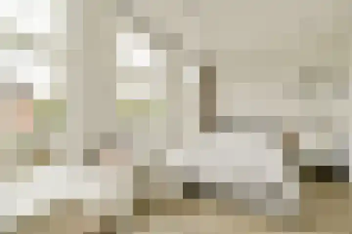 Da Costakade 202 Amsterdam thumbnail 12