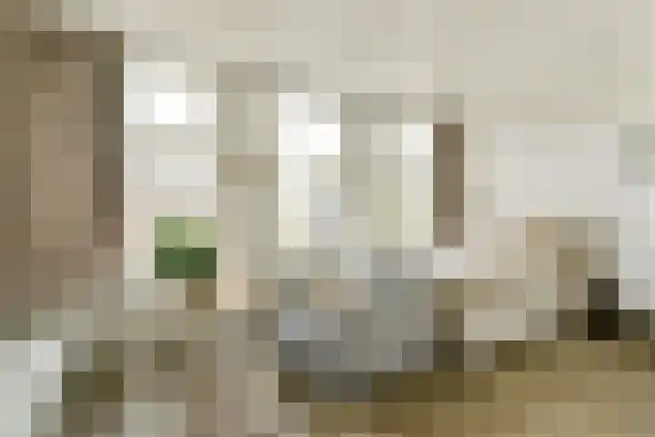 Da Costakade 202 Amsterdam thumbnail 18