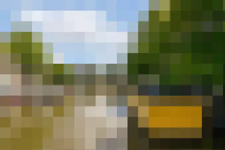Da Costakade 202 Amsterdam thumbnail 24