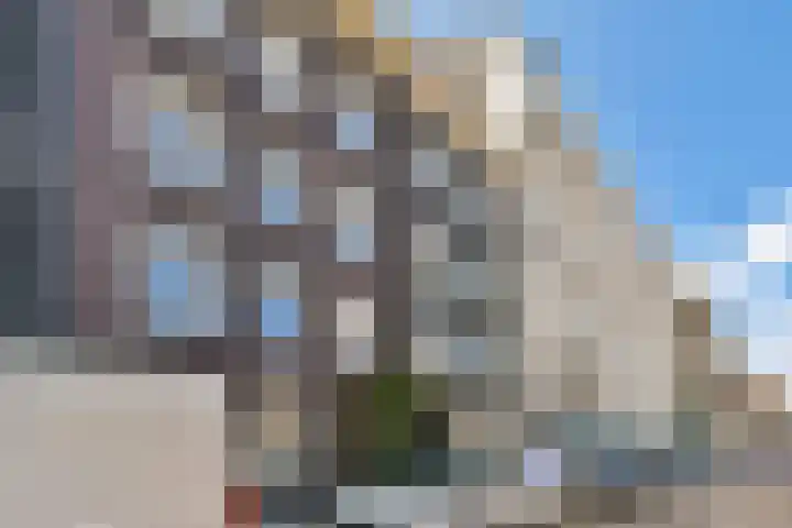 Da Costakade 202 Amsterdam thumbnail 32