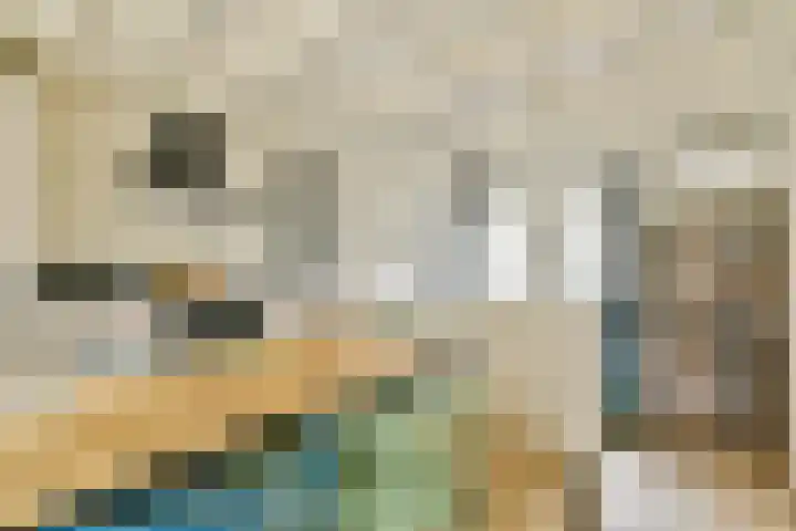 Da Costakade 202 Amsterdam thumbnail 5