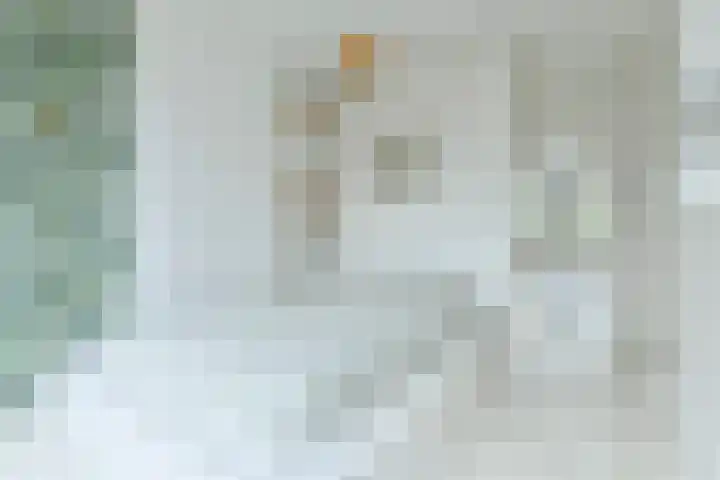 Da Costakade 207 2 Amsterdam thumbnail 6