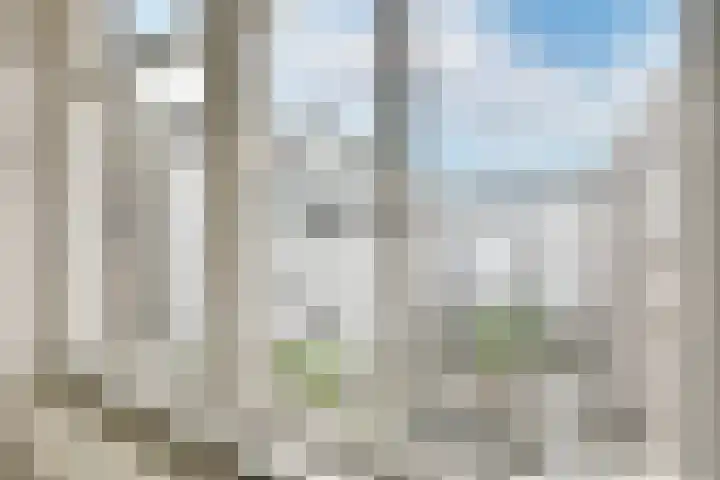 Da Costakade 207 2 Amsterdam thumbnail 9