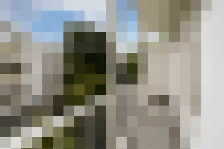 Da Costakade 29 3 Amsterdam thumbnail 22