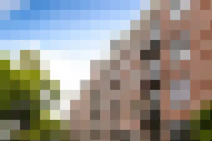 Da Costakade 29 3 Amsterdam thumbnail 33