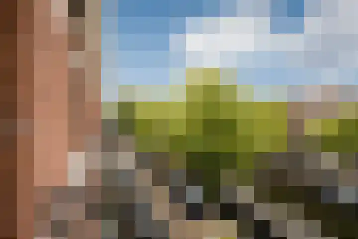 Da Costakade 29 3 Amsterdam thumbnail 5