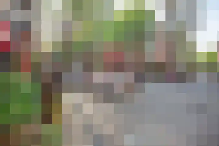 Da Costakade 362 Amsterdam thumbnail 28
