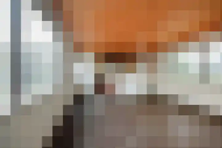 Da Costakade 362 Amsterdam thumbnail 6