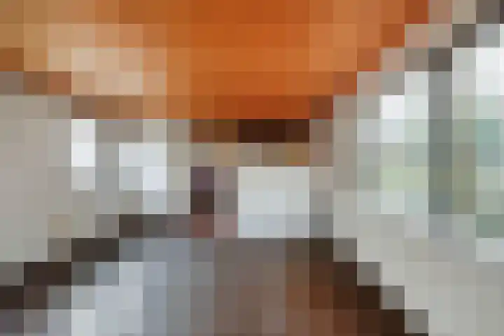 Da Costakade 362 Amsterdam thumbnail 9