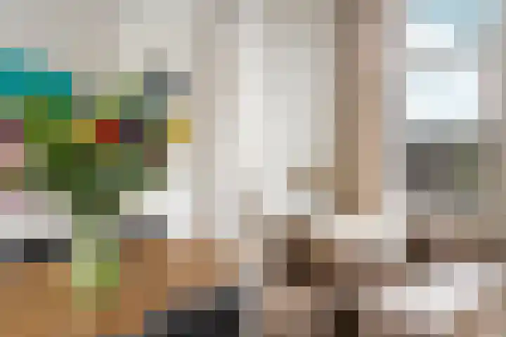 Da Costakade 42 H Amsterdam thumbnail 11