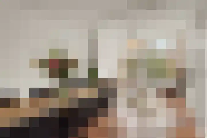 Da Costakade 42 H Amsterdam thumbnail 12
