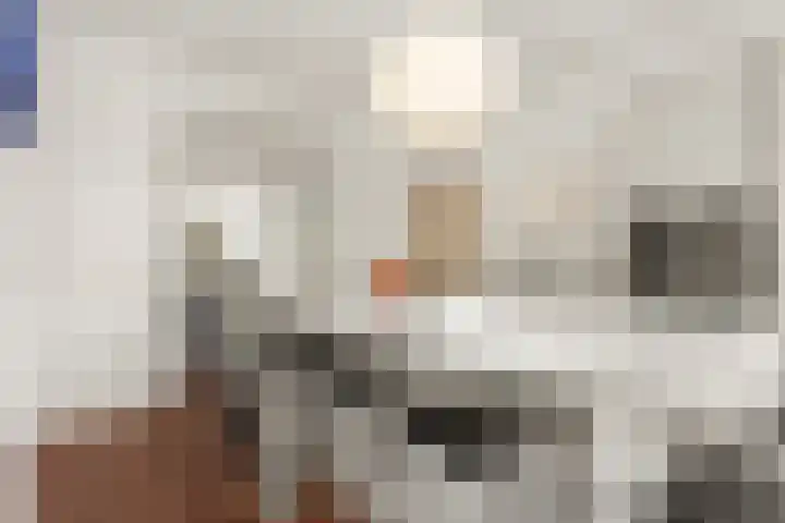 Da Costakade 42 H Amsterdam thumbnail 18