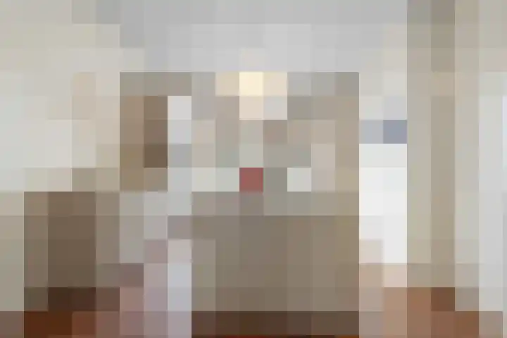 Da Costakade 42 H Amsterdam thumbnail 19