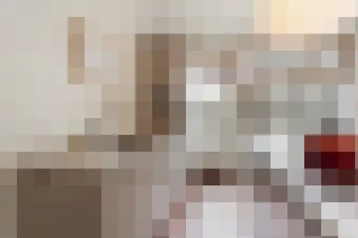 Da Costakade 42 H Amsterdam thumbnail 23