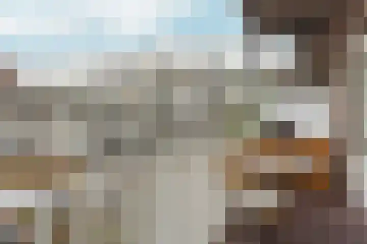 Da Costakade 42 H Amsterdam thumbnail 27