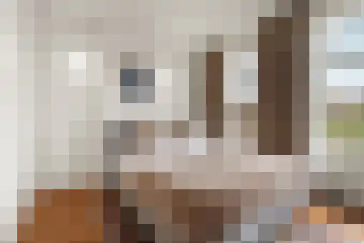 Da Costakade 42 H Amsterdam thumbnail 35