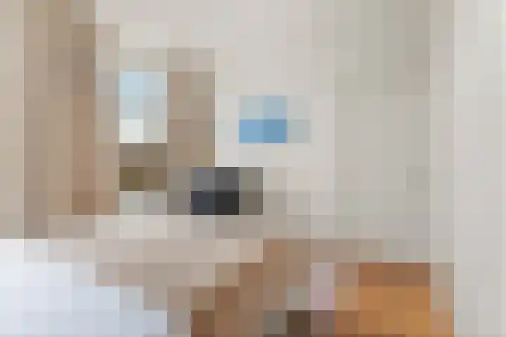 Da Costakade 42 H Amsterdam thumbnail 36