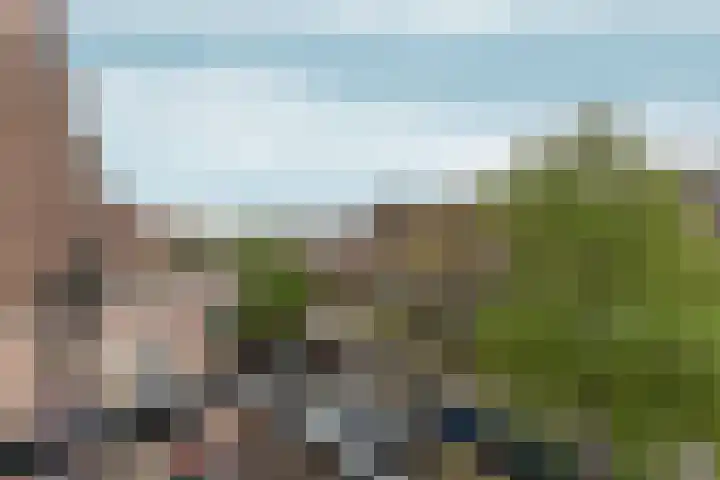 Da Costakade 42 H Amsterdam thumbnail 40