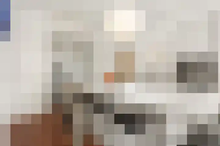 Da Costakade 42 H Amsterdam thumbnail 5