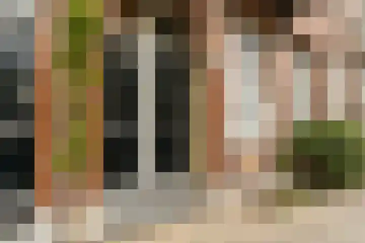 Da Costakade 42 H Amsterdam thumbnail 9