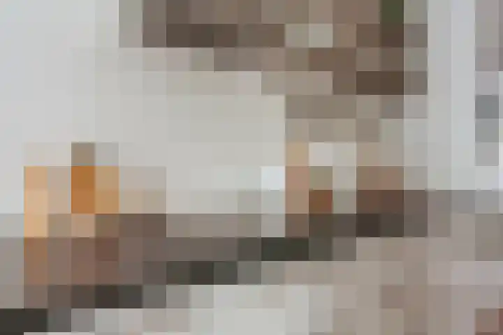 Da Costakade 99 2 Amsterdam thumbnail 10