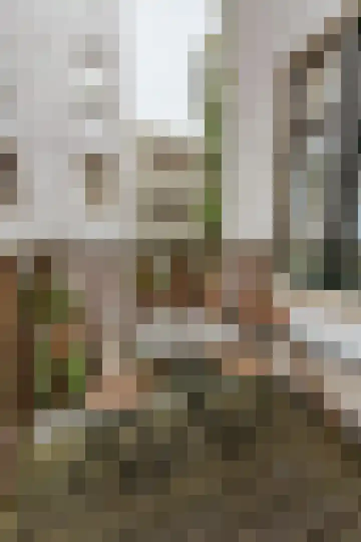 Da Costakade 99 2 Amsterdam thumbnail 16