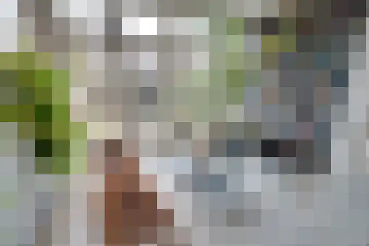Da Costalaan 17 Amstelveen thumbnail 10