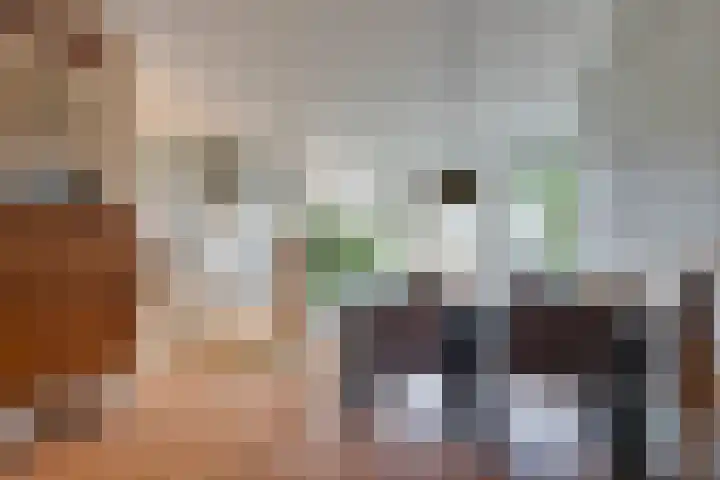 Da Costalaan 17 Amstelveen thumbnail 18