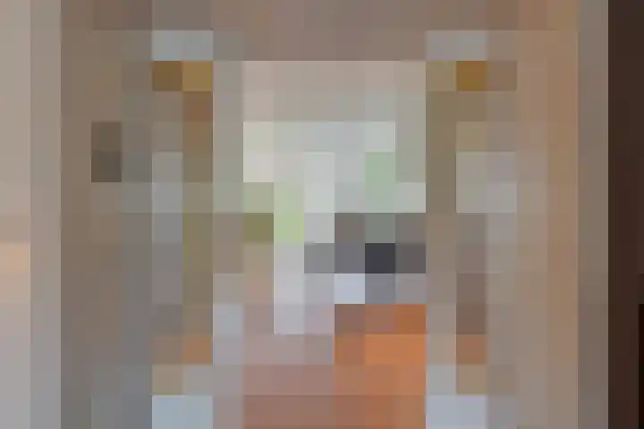 Da Costalaan 17 Amstelveen thumbnail 27
