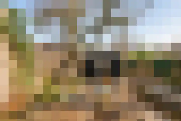 Da Costalaan 17 Amstelveen thumbnail 48