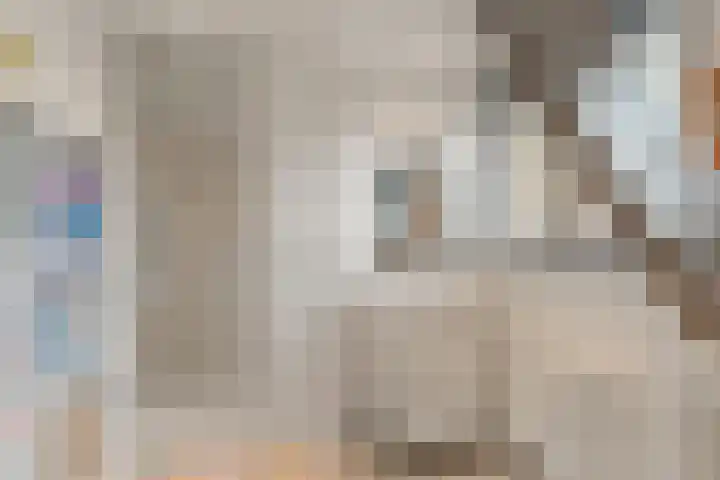 Da Costalaan 22 Bilthoven thumbnail 36
