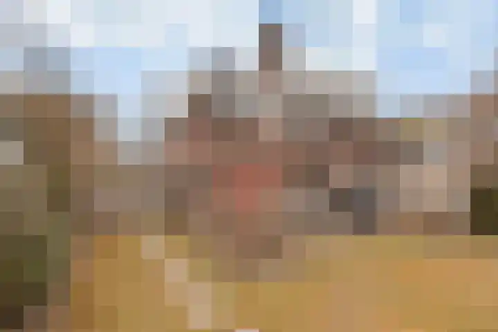 Da Costalaan 22 Bilthoven thumbnail 44