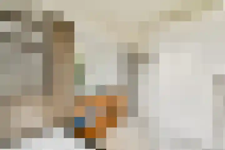 Da Costalaan 24 Amstelveen thumbnail 22