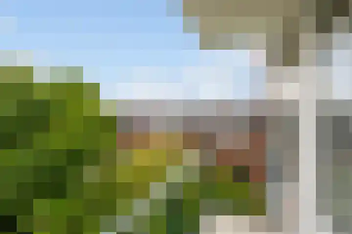 Da Costaplein 2 D Maassluis thumbnail 15