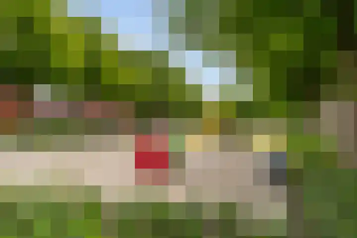 Da Costaplein 2 D Maassluis thumbnail 18