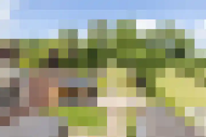 Daalhemerweg 90 Valkenburg thumbnail 26