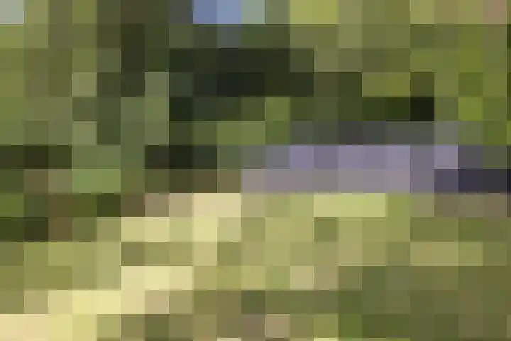 Daalhemerweg 90 Valkenburg thumbnail 42