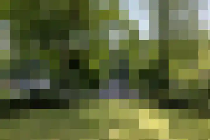 Daalhemerweg 90 Valkenburg thumbnail 43